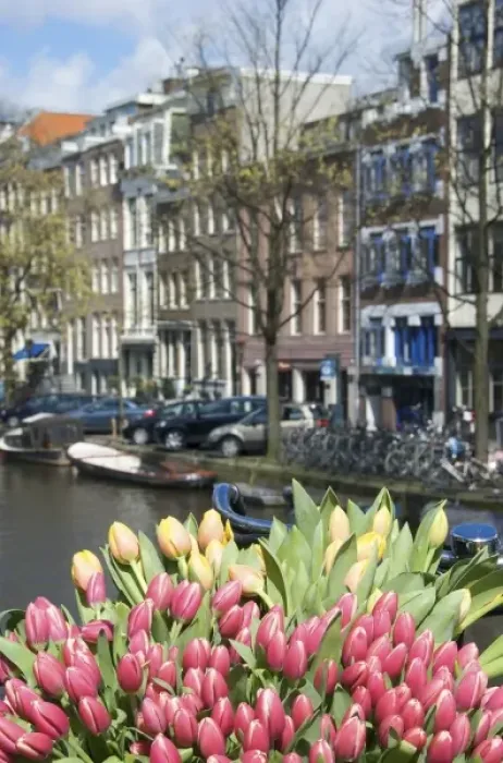 Framed Print : Europe, Netherlands, Holland