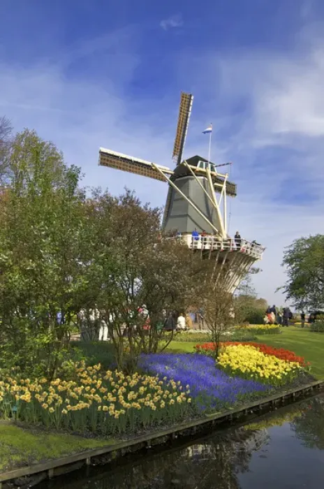 Framed Print : Europe, Netherlands, Holland, Lisse, Keukenhof Gardens in the spring Framed Print : Europe, Netherlands, Holland, Lisse, Keukenhof Gardens in the spring