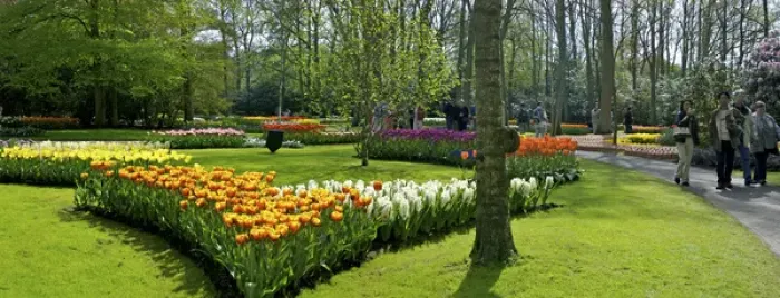 Framed Print : Europe, Netherlands, Holland, Lisse, Keukenhof Gardens in spring Framed Print : Europe, Netherlands, Holland, Lisse, Keukenhof Gardens in spring