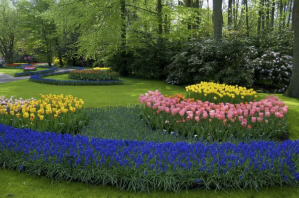 Europe, Netherlands, Holland, Lisse, Keukenhof Gardens in spring