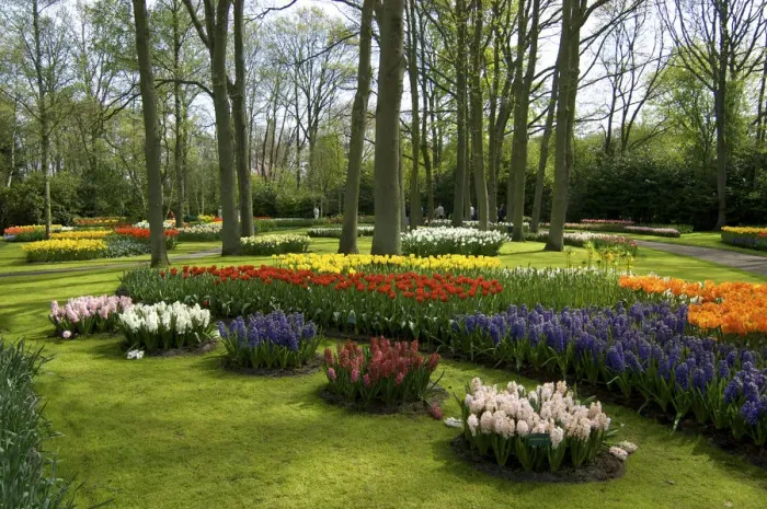 Framed Print : Europe, Netherlands, Holland, Lisse, Keukenhof Gardens in spring Framed Print : Europe, Netherlands, Holland, Lisse, Keukenhof Gardens in spring