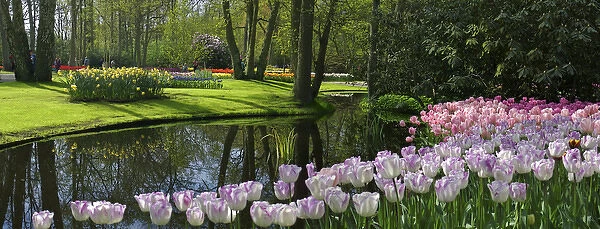 Europe, Netherlands, Holland, Lisse, Keukenhof Gardens in spring