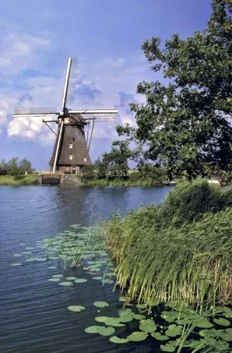 Framed Print : Europe, Netherlands, Kinerdijk. A wind sends ripples over the lily pad-strewn canal Framed Print : Europe, Netherlands, Kinerdijk. A wind sends ripples over the lily pad-strewn canal