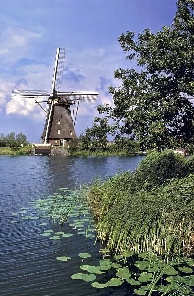 Europe, Netherlands, Kinerdijk. A wind sends ripples over the lily pad-strewn canal