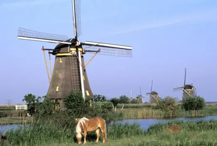 Framed Print : Europe, Netherlands, Zuid Holland, Kinderdijk. Kinderdijk windmills and horse Framed Print : Europe, Netherlands, Zuid Holland, Kinderdijk. Kinderdijk windmills and horse