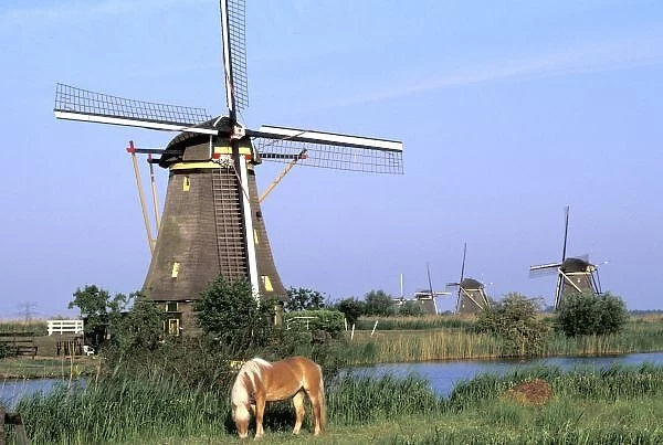 Europe, Netherlands, Zuid Holland, Kinderdijk. Kinderdijk windmills and horse