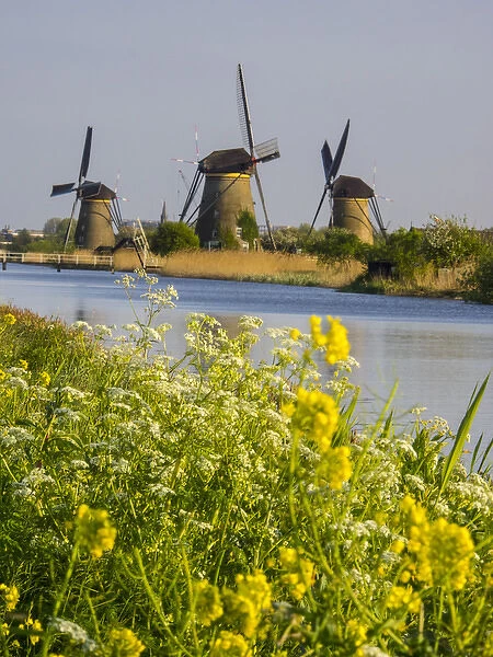 Europe; Netherleands; Kinderdyk; Windmills with evening light along the canals of Kinderdijk