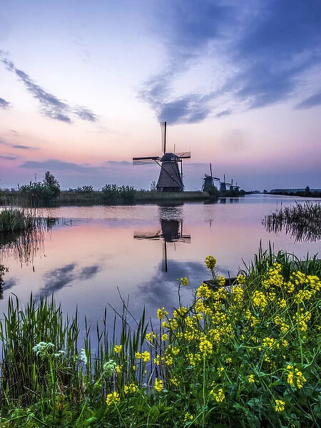 Europe; Netherleands; Kinderdyk; Windmills at Sunrise along the canals of Kinderdijk