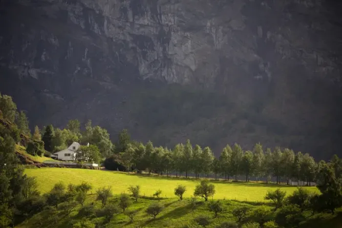 Framed Print : Europe, Norway, Flam. Sunlit farm in Flam mountains Framed Print : Europe, Norway, Flam. Sunlit farm in Flam mountains