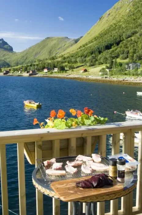 Framed Print : Europe, Norway, Lofoten. Barbeque on the deck on warm summer day
