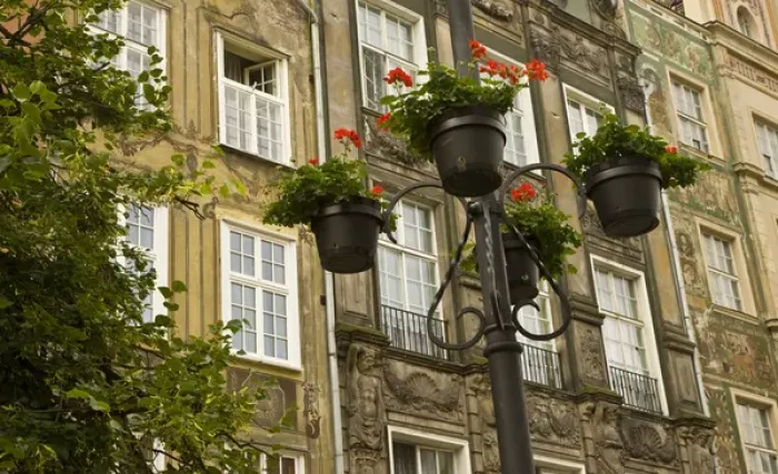 Framed Print : Europe, Poland, Gdansk. Flower pots decorate front of buildings in Old Town. Credit as Framed Print : Europe, Poland, Gdansk. Flower pots decorate front of buildings in Old Town. Credit as