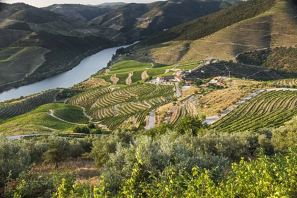 Europe, Portugal, Douro Valley, Douro River, Porto, a region that runs from the Spanish-Portugal