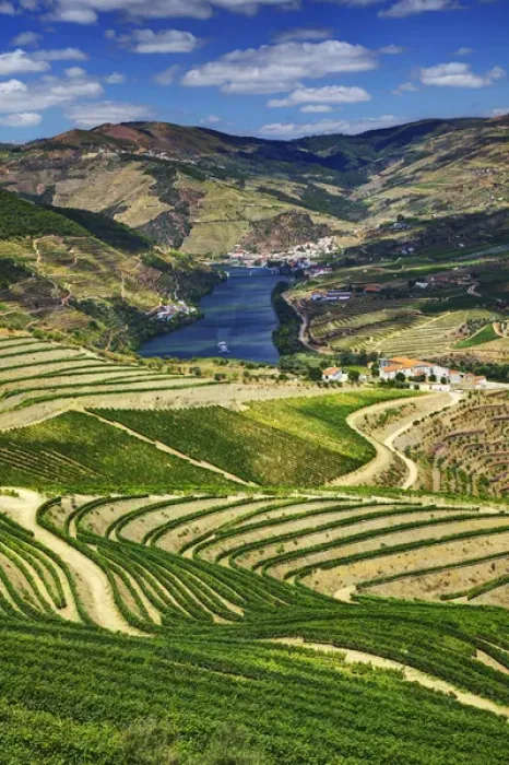 Framed Print : Europe; Portugal; Duoro Valley; Terraced Vineyards linning the hills of the Duoro Valley