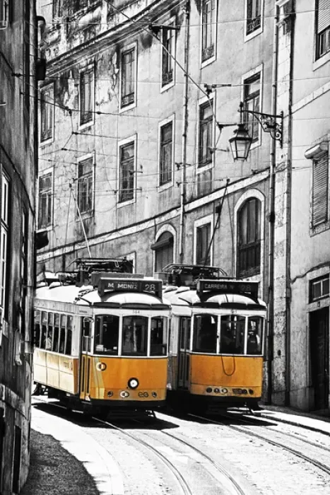 Framed Print : Europe, Portugal, Lisbon. Lisbon transportation; Famous Old Lisbon Cable Car Framed Print : Europe, Portugal, Lisbon. Lisbon transportation; Famous Old Lisbon Cable Car