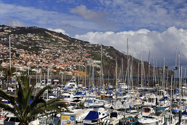 Europe, Portugal, Madeira. Boats in the harbor at Funchal, Madeira