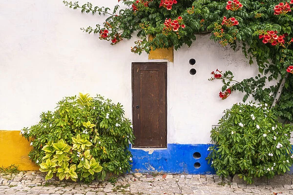 Europe, Portugal, Obidos. Colorful house