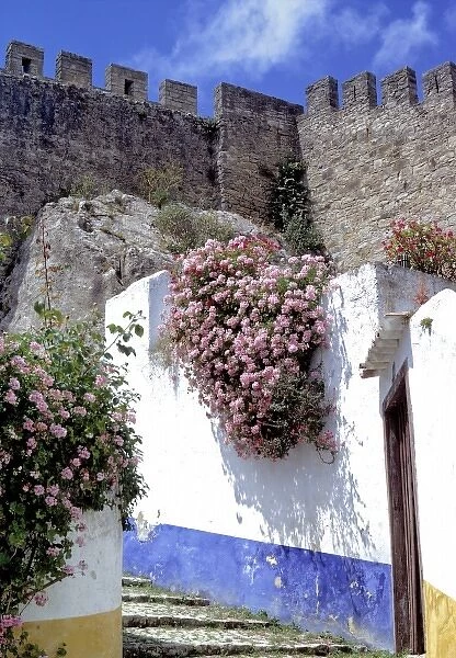 Europe, Portugal, Obidos. Geraniums cover a white-washed wall in Obidos National Monument, Portugal