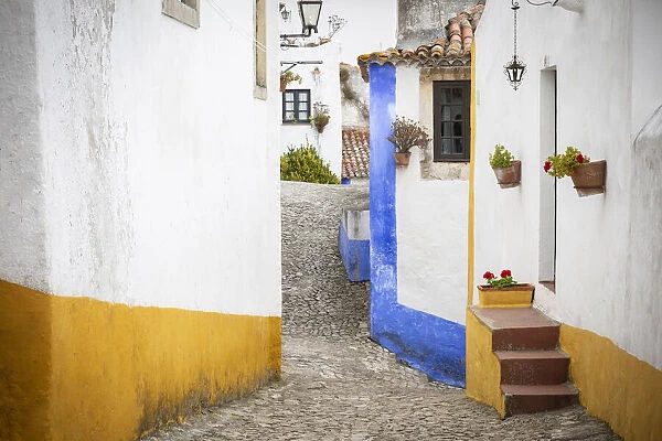 Europe, Portugal, Obidos. Houses on cobblestone street