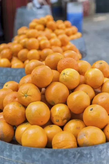 Framed Print : Europe, Portugal, Obidos, oranges for sale at outdoor market
