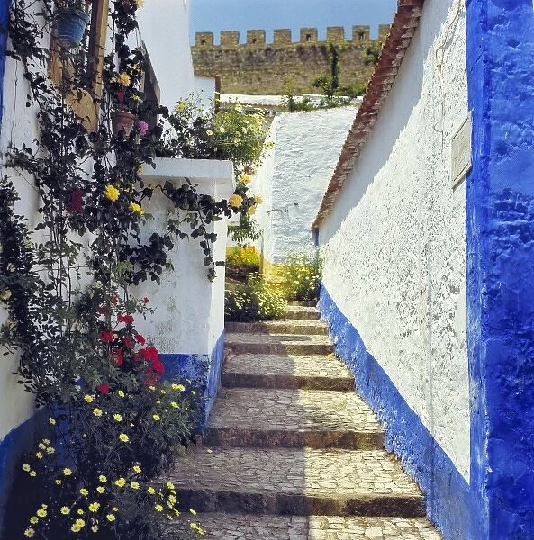 Europe, Portugal, Obidos. The white-washed village of Obidos, now a national monument