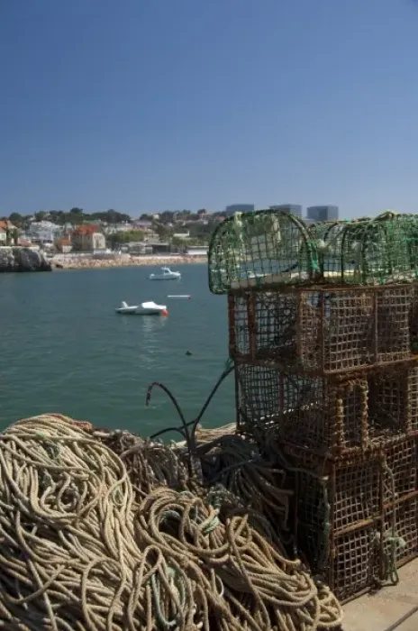Framed Print : Europe, Portugal. Seaside city of Cascais, coastal view from pier with fish traps Framed Print : Europe, Portugal. Seaside city of Cascais, coastal view from pier with fish traps