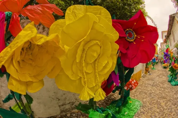 Framed Print : Europe; Portugal; Tomar; The streets of Tomar decorated with paper flowers for the celebrations