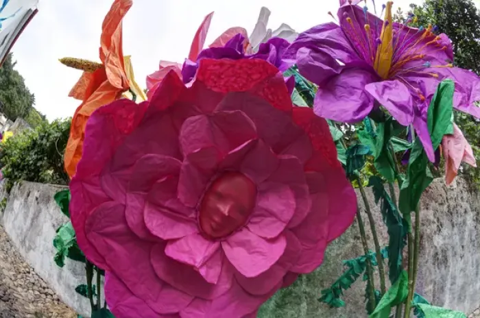 Framed Print : Europe; Portugal; Tomar; The streets of Tomar decorated with paper flowers for the celebrations