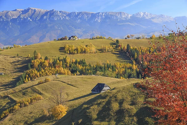 Europe, Romania, Transylvania, Carpathian Mountains, Magura, Piatra Craiului National