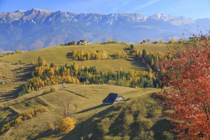 Framed Print : Europe, Romania, Transylvania, Carpathian Mountains, Magura, Piatra Craiului National Framed Print : Europe, Romania, Transylvania, Carpathian Mountains, Magura, Piatra Craiului National