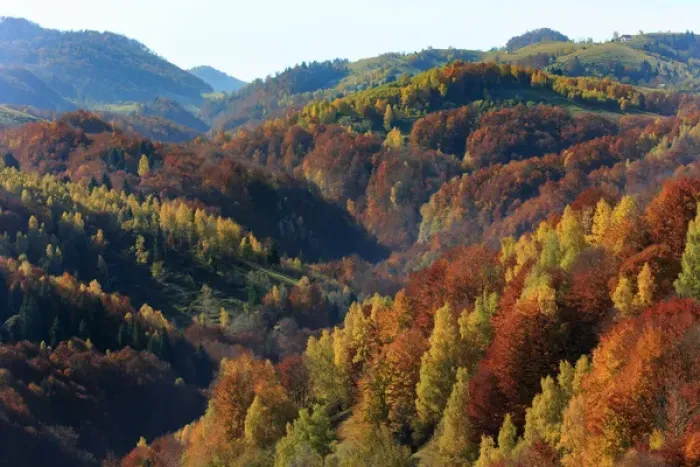 Framed Print : Europe, Romania, Transylvania, Carpathian Mountains, Magura, Piatra Craiului National Park