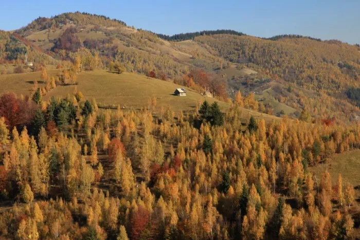 Framed Print : Europe, Romania, Transylvania, Carpathian Mountains, Magura, Piatra Craiului National Park Framed Print : Europe, Romania, Transylvania, Carpathian Mountains, Magura, Piatra Craiului National Park