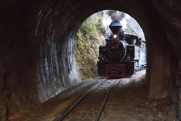 Europe, Romania, Viseu de Sus. Carpathian Forest Steam train. Vaser Valley Railway