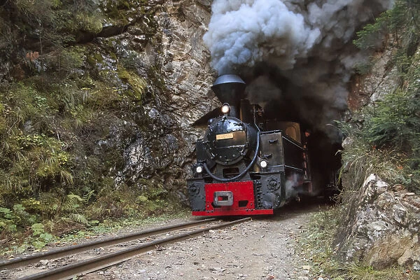 Europe, Romania, Viseu de Sus. Carpathian Forest Steam train. Vaser Valley Railway