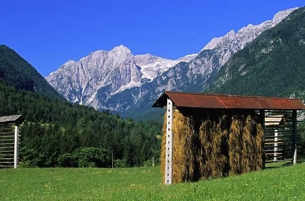 Europe, Slovenia, Julian Alps, Hay shed in the forested hills