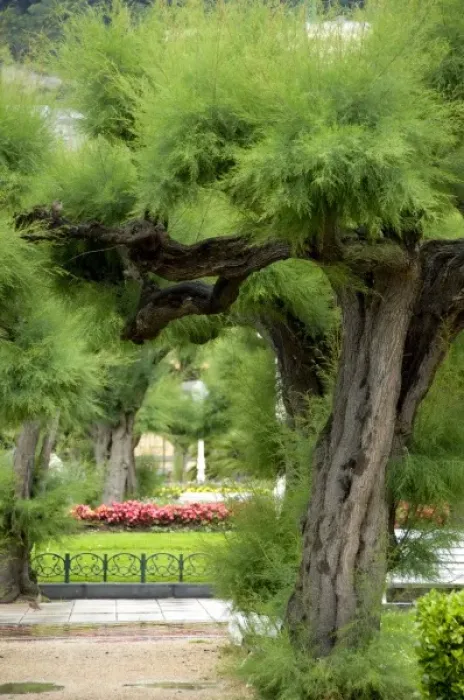 Framed Print : Europe, Spain