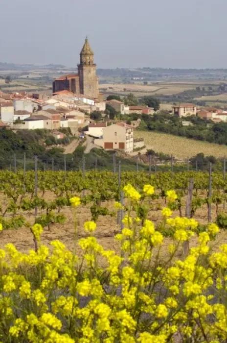Framed Print : Europe, Spain