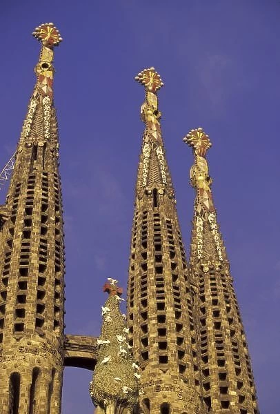 Europe, Spain, Barcelona Sagrada Familia Cathedral (Antonio Gaudi), morning
