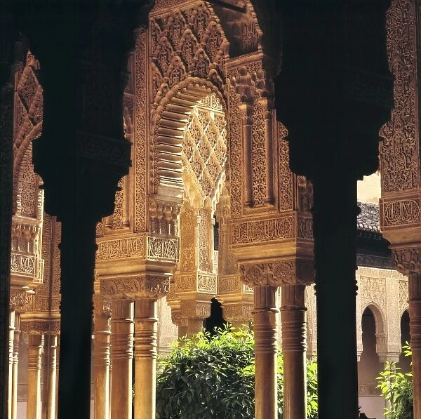 Europe, Spain, Granada. Shadow and light play off the marble columns in the Court of the Lions