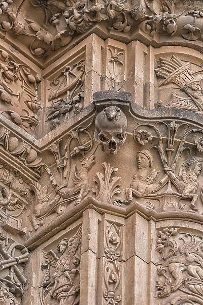 Europe, Spain, Salamanca, detail of relief sculpture on cathedral exterior