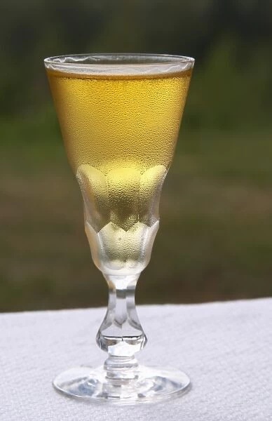 Europe, Sweden. Swedish traditional aquavit schnapps glass in pointed form