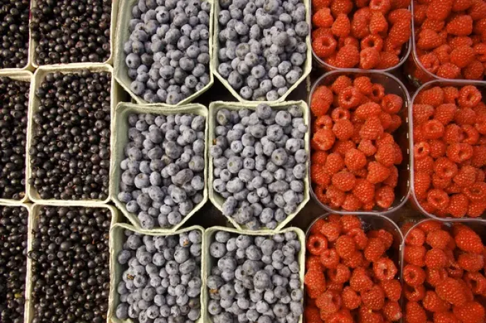 Framed Print : Europe, Sweden, Stockholm. Display of different berries at the Outdoor Market. Credit as