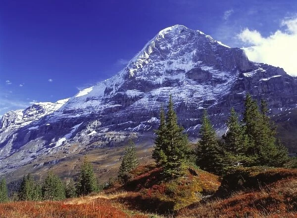 Europe, Switzerland, Eiger. Fall colors abound below the Eiger, a World Heritage Site