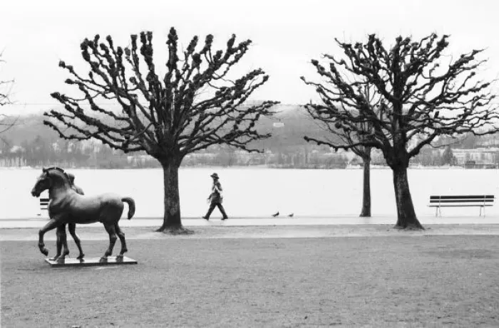 Framed Print : Europe, Switzerland, Lucerne. Lake Lucerne