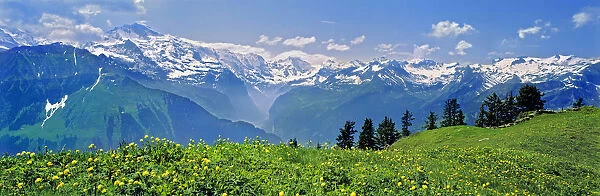 Europe, Switzerland, Schniggeplatte. The Schniggeplatte offers one of the best views of the peaks