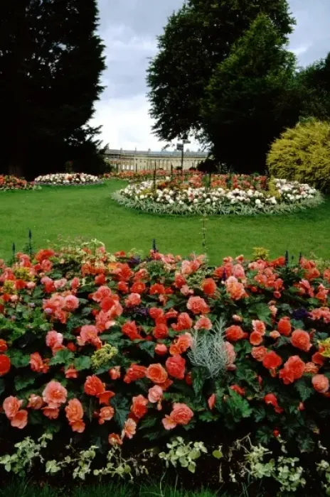 Framed Print : Europe, United Kingdom, England, Bath. Royal Victoria Park gardens with Royal Crescent Framed Print : Europe, United Kingdom, England, Bath. Royal Victoria Park gardens with Royal Crescent