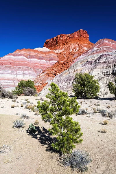 Evening light on the Cockscomb, Grand Staircase-Escalante National Monument, Utah, USA