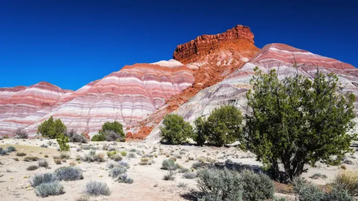 Framed Print : Evening light on the Cockscomb, Grand Staircase-Escalante National Monument, Utah, USA