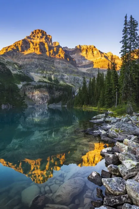 Framed Print : Evening light on Mount Huber above Lake O hara, Yoho National Park, British Columbia Framed Print : Evening light on Mount Huber above Lake O hara, Yoho National Park, British Columbia