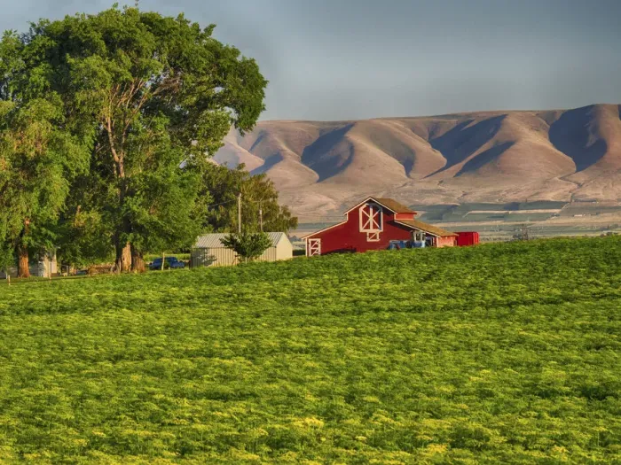 Framed Print : Evening light on red barn Framed Print : Evening light on red barn