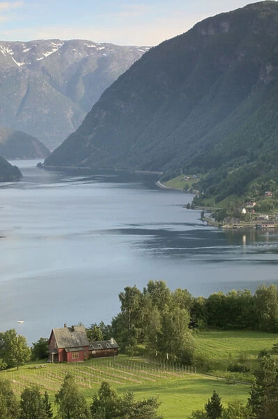 evening light settles upon Ulvik and the shores of Hardanger Fjord, Norway